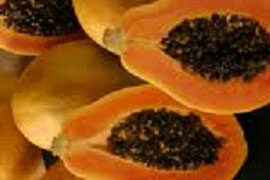 Este producto cuyo nombre científico es Carica papaya, es utilizado en el tratamiento contra el estreñimiento