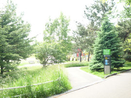 小野幌公園