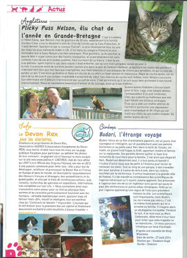 1/4 page of Matouchat