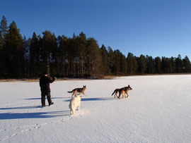 Lappland im Oktober