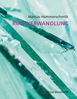 Auf dem Cover von Rückverwandlung sind Glasscherben.