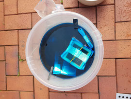 DIY Servietten färben