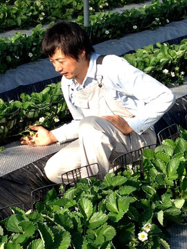 「農薬ゼロのだいしん農園」 楠田大伸