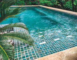 Principal carrelage utilisé par nos carreleurs pour l'habillage des piscines