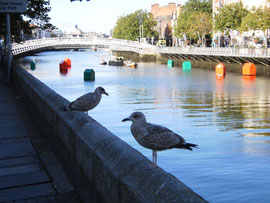 Dublin, Liffey. (c) Ni Gudix