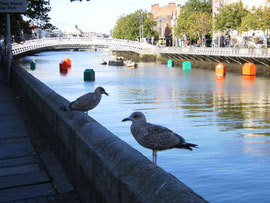 Dublin, Liffey. (c) Ni Gudix
