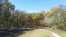 雪の甲斐駒ヶ岳と紅葉の庭