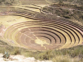 Moray