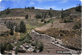 Camino Inca Tarata - Santa María