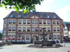 Rathaus Neustadt                                                                                