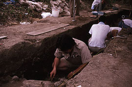 1992年:伊是名貝塚