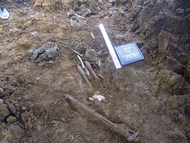 ２０１３年：北マリアナ諸島サイパン島の遺骨収集