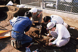 １９８９年：本郷元町遺跡（東京大学構内雨水調整池遺跡）