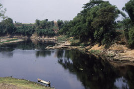 1994年:インドネシア共和国人類遺跡(トリニール遺跡)