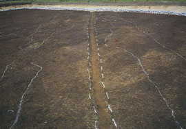 2003年~2004年:白井北中道Ⅲ遺跡