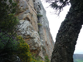 Klettergebiet San Bartolo, Sektor Los Cernicalos