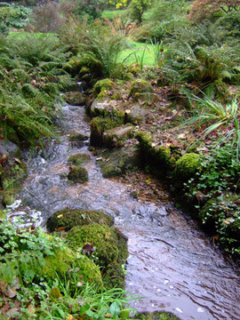 The stream running through 'Trewoofe Orchard'