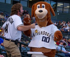 La mascotte dei Charleston Riverdogs (Singolo A - N.Y. Yankees)