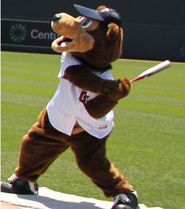 TC Bear mascotte dei Twins batte la palla sulle tribune del Metrodome