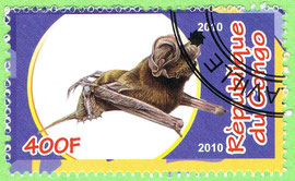 Congo 2010