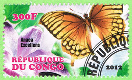Congo 2011
