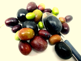 Griechische Oliven Amfissa