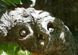 wood art