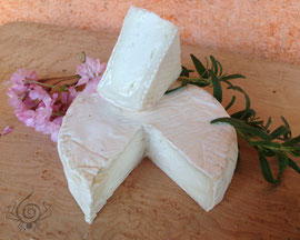 Bloomy Samples at Market