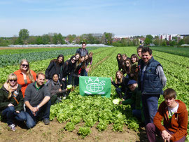 IAAS on the farm of family Bayha