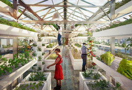 Urban Farming in Basel