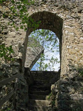 © Traudi