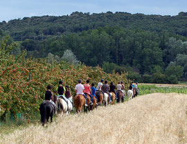 Balade à cheval Patchanka