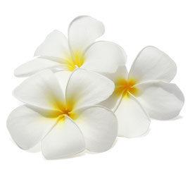 Herzlich willkommen in unserer Praxis! (© Polina Katritch - Fotolia.com)