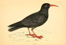 http://en.wikipedia.org