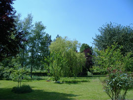 Le jardin