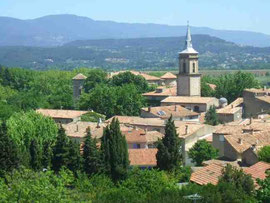 Ramonage à La Roque d'Anthéron et aix en Provence