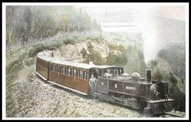 Vale of Rheidol Railway train on it's way to Devils Bridge.