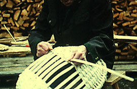 Schwingenflechter