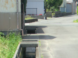 危険な水路がたくさん残る（高洲）