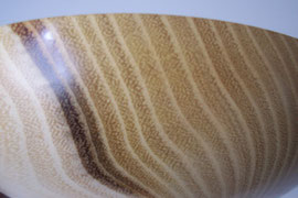 Detail Robinie