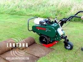 Cortatepes Groundsman TMC26