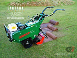 Cortatepes Groundsman TMC48