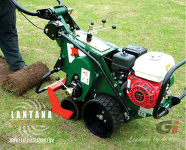 Cortatepes Groundsman TMC46