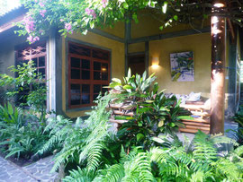 Veranda mit Ylang Ylang am Eingang, mit Bougenville umrankt