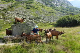 Hiendertelltihorn Ostgrat, Zustieg, dritte Seillänge, Schlüssellänge, Schlüsselseillänge, Touren Gruebenkessel, Gruebenhütte, Gruebeseewli
