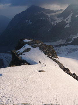 Piz Roseg, Eselsgrat