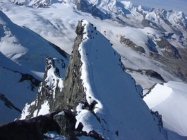 Rimpfischhorn Gipfel, Nebengipfel