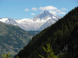 Bietschhorn, Ostrippe, Westgrat, vom Material