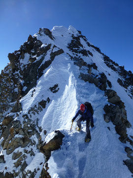 Finsteraarhorn, Gipfelgrat, Jungfraugebiet, Skitouren, Schweiz