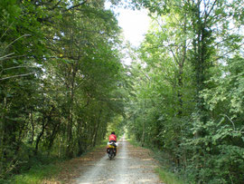 Rodando por pista